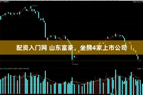 配资入门网 山东富豪，坐拥4家上市公司
