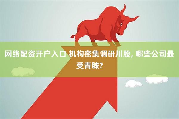 网络配资开户入口 机构密集调研川股, 哪些公司最受青睐?