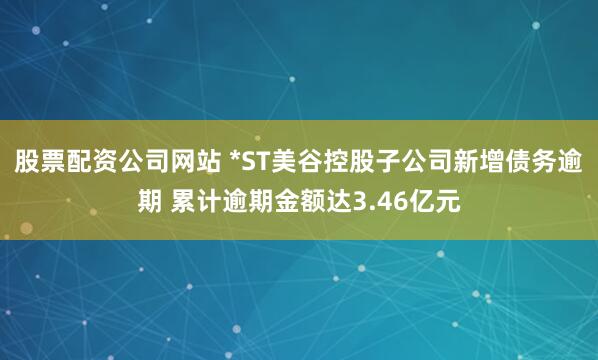 股票配资公司网站 *ST美谷控股子公司新增债务逾期 累计逾期金额达3.46亿元