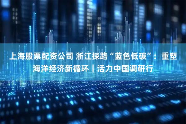 上海股票配资公司 浙江探路“蓝色低碳”：重塑海洋经济新循环｜活力中国调研行
